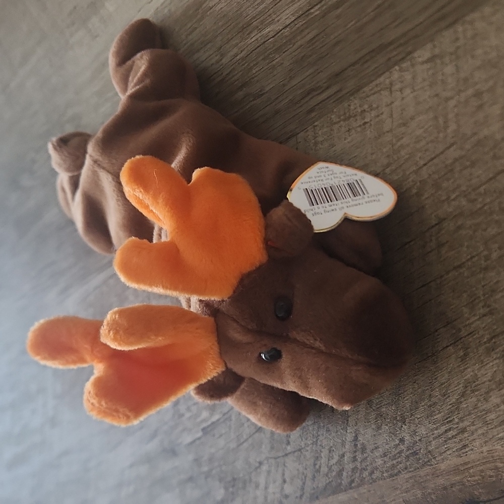 Chocolate the moose beanie baby